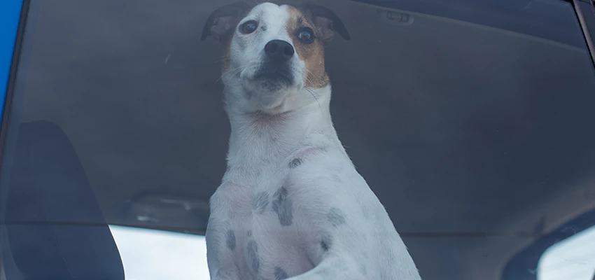 Car Lockout Solutions in Lawndale, California